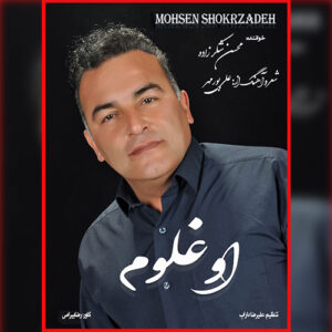 دانلود آهنگ محسن شکرزاده اوغلوم