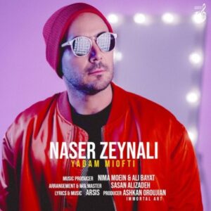 دانلود آهنگ ناصر زینلی یادم میوفتی