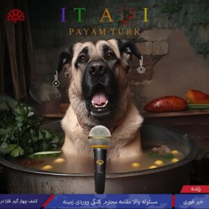 دانلود آهنگ پیام تورک به نام ایت آشی