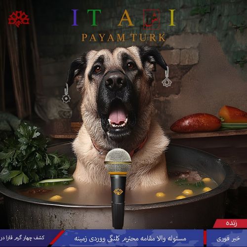 دانلود آهنگ پیام تورک به نام ایت آشی دانلود آهنگ پیام تورک به نام ایت آشی