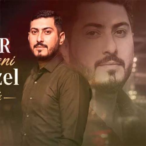 دانلود آهنگ پروین صدالی بنام ددیلر آختاریر سنی بیر گوزل دانلود آهنگ پروین صدالی بنام ددیلر آختاریر سنی بیر گوزل