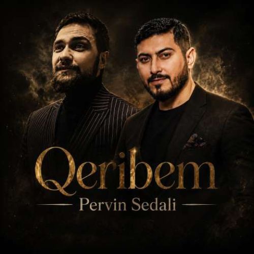 دانلود آهنگ پروین صدالی غریبم