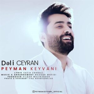 دانلود آهنگ پیمان کیوانی به نام دلی جیران