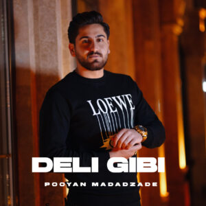 دانلود آهنگ پویان مددزاده دلی گیبی