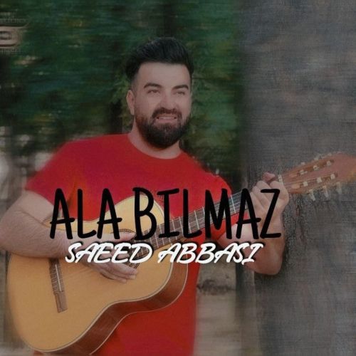 دانلود آهنگ سعید عباسی آلا بیلمز
