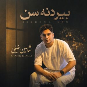 دانلود آهنگ شاهین خلیلی بنام بیردنه سن بیردنه