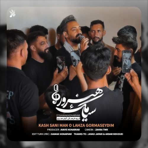 دانلود آهنگ سیامک هنرور کاش سنی