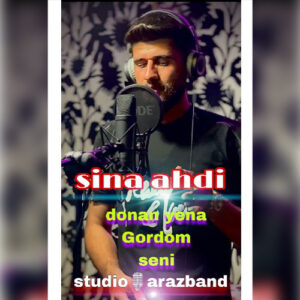 دانلود آهنگ سینا عهدی دونن ینه گوردوم سنی