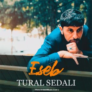 دانلود آهنگ تورال صدالی به نام عصب
