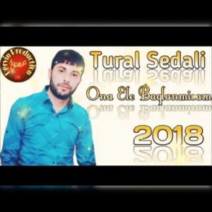 دانلود آهنگ تورال صدالی به نام قاداسی آلیم من بونون
