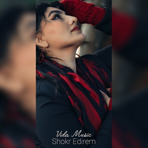 دانلود آهنگ ویدا به نام شکر ادیرم