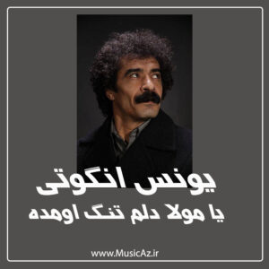 دانلود آهنگ یونس انگوتی به نام یا مولا دلم تنگ اومده