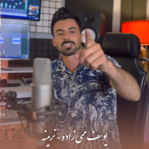 دانلود آهنگ یوسف ممی زاده نرمینه